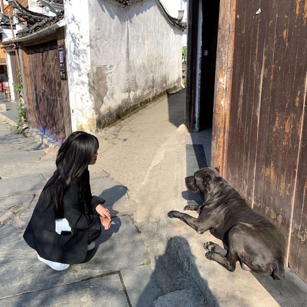 家装设计晴晴