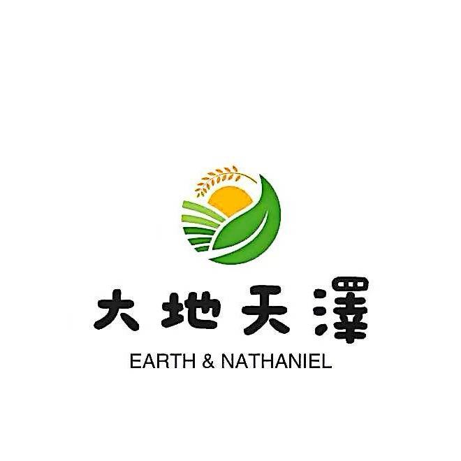 新疆大地天泽特色农货店
