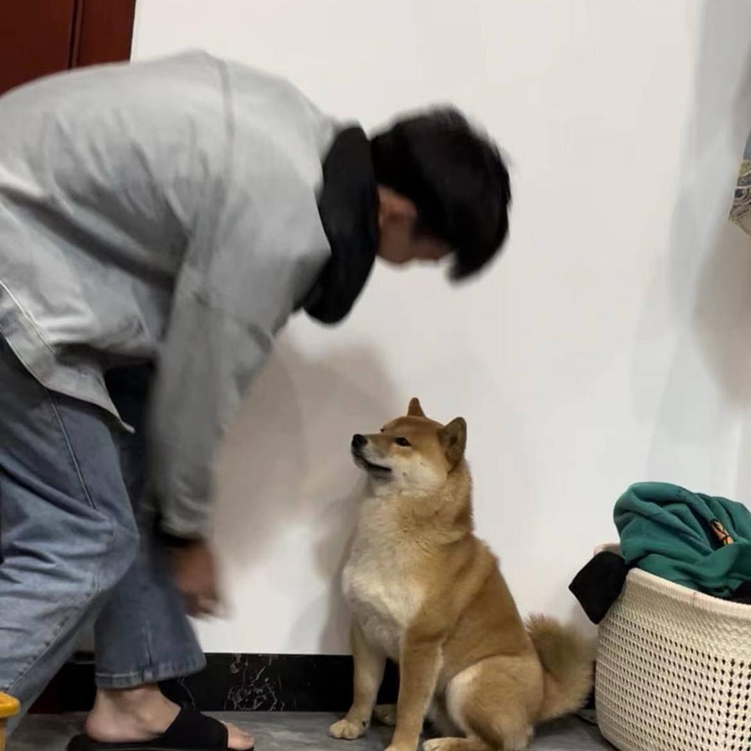 三哥听探幕