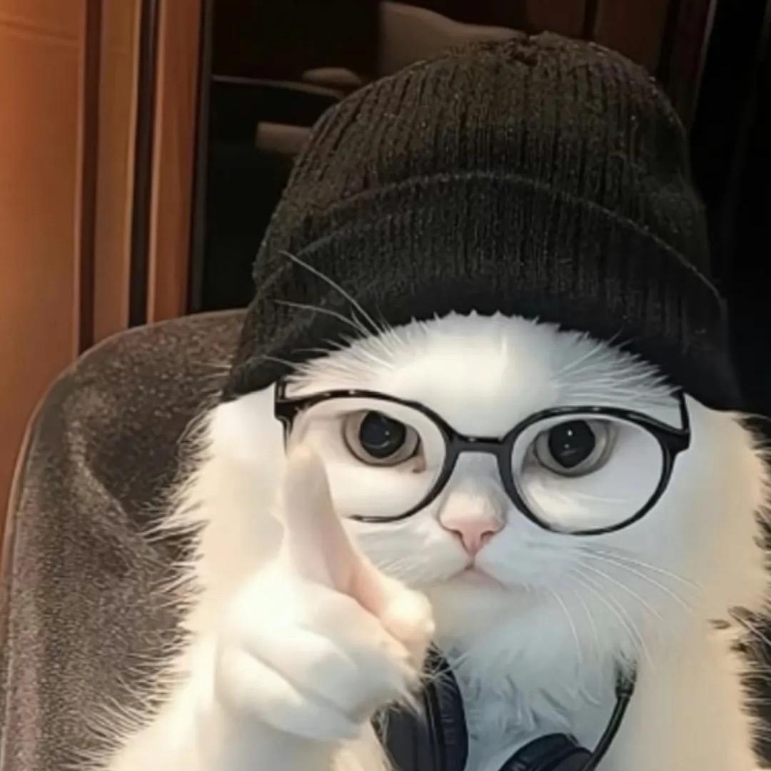 ꫛ℘℘ꫀꪄꪶ .