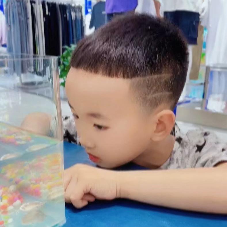 一片叶