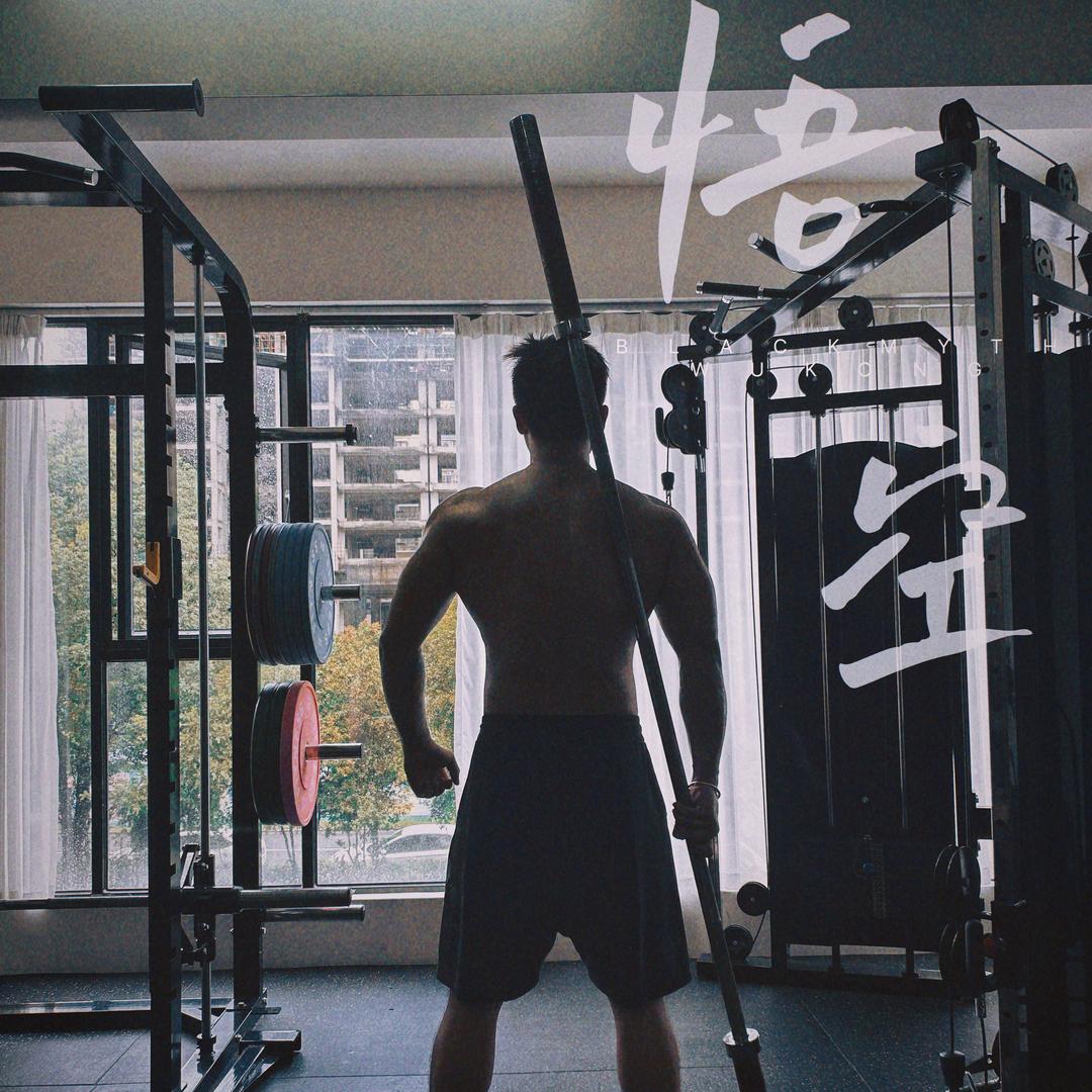 撸铁🐷David：努力涨粉