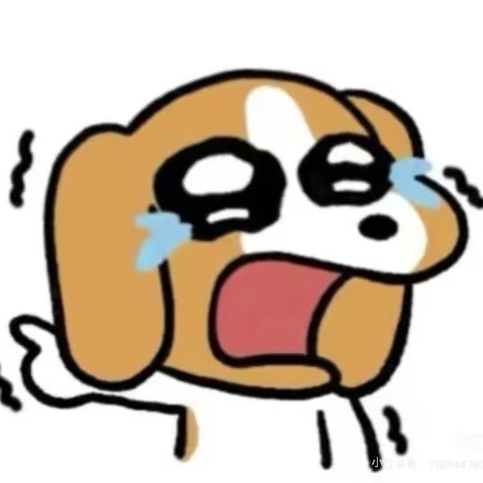 不吃冰杨梅