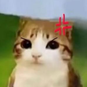 和特朗普离婚后我分到半个美国