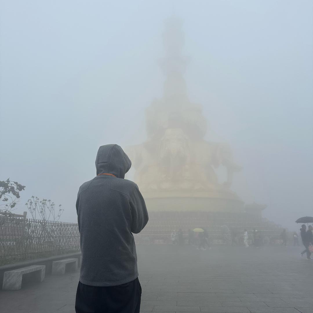信息通达的苏小卿头像