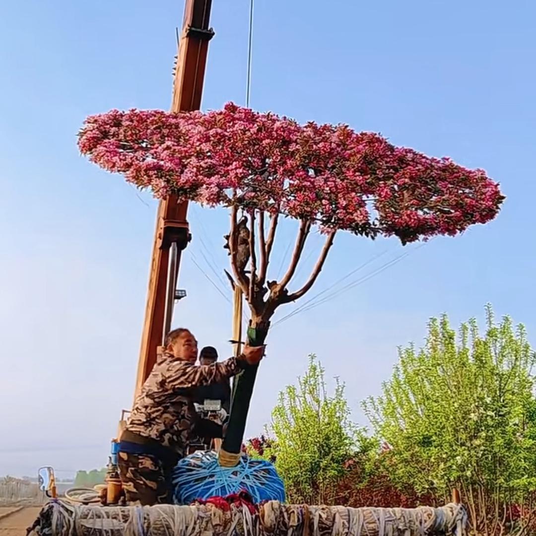 木兰园林