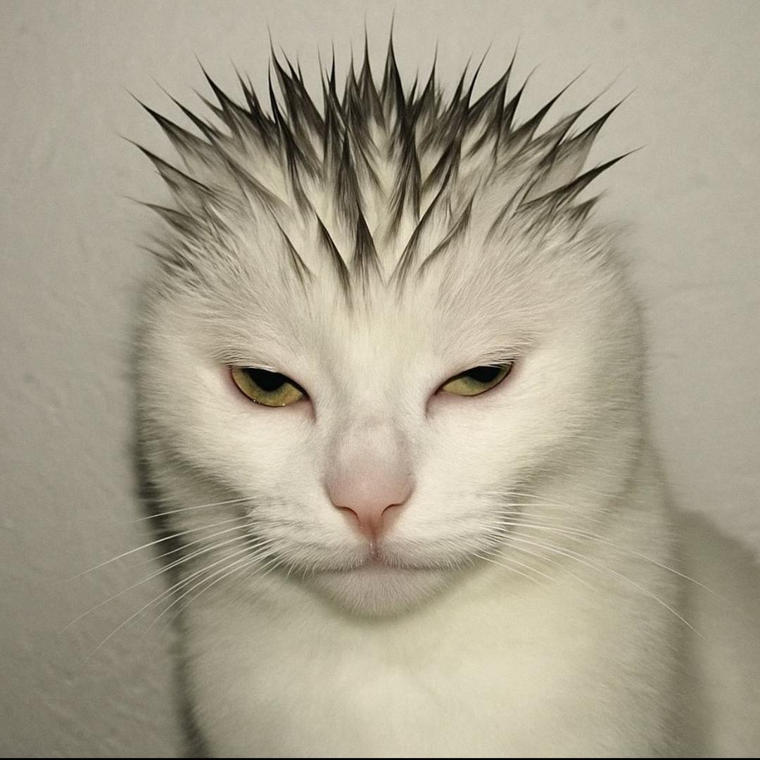 网络男神