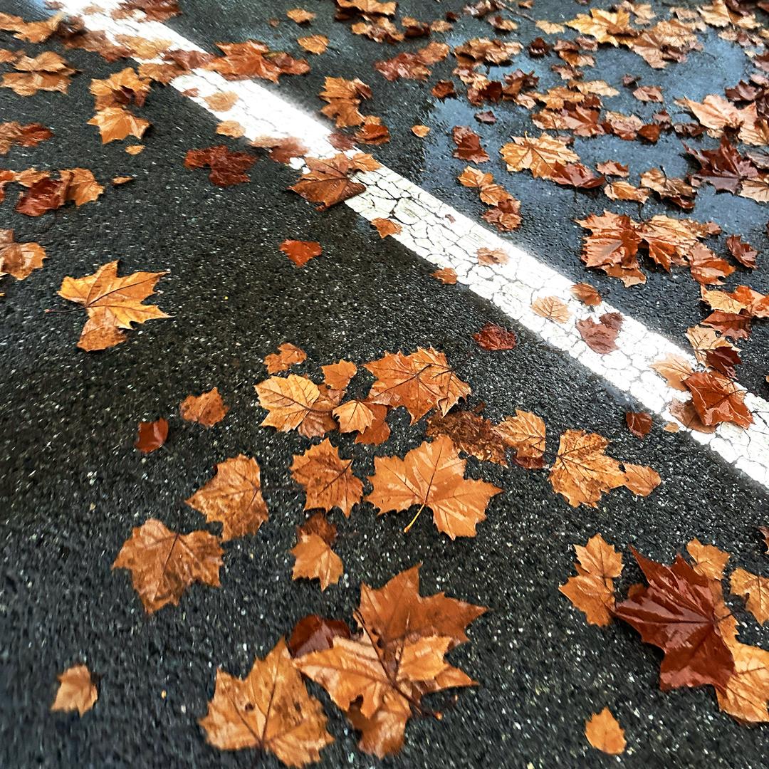 五颗甜栗子🌰