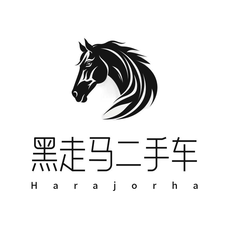 北屯市黑走马二手车销售有限公司