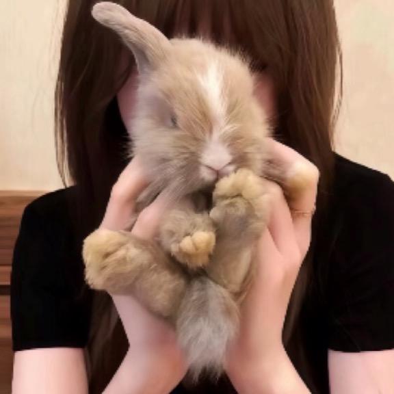 麻辣屁🐾