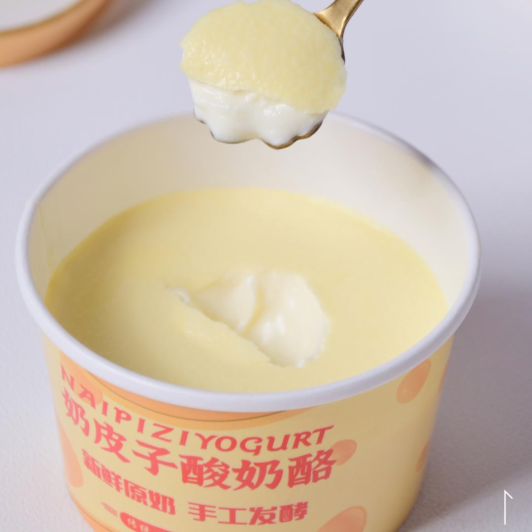 奶皮子酸奶创始人