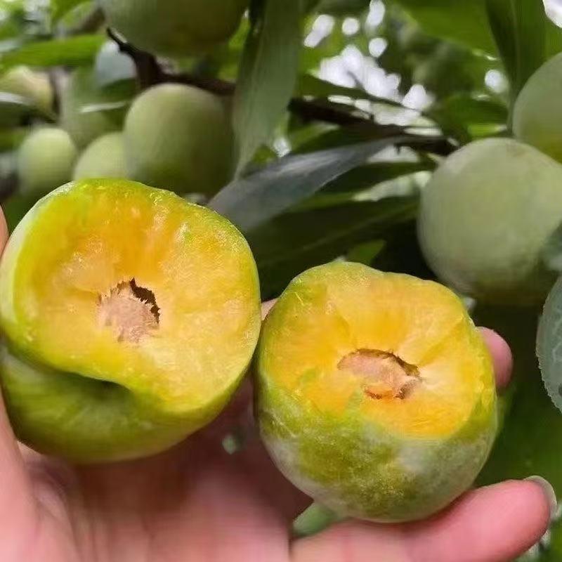 飞未农产品李子严选店