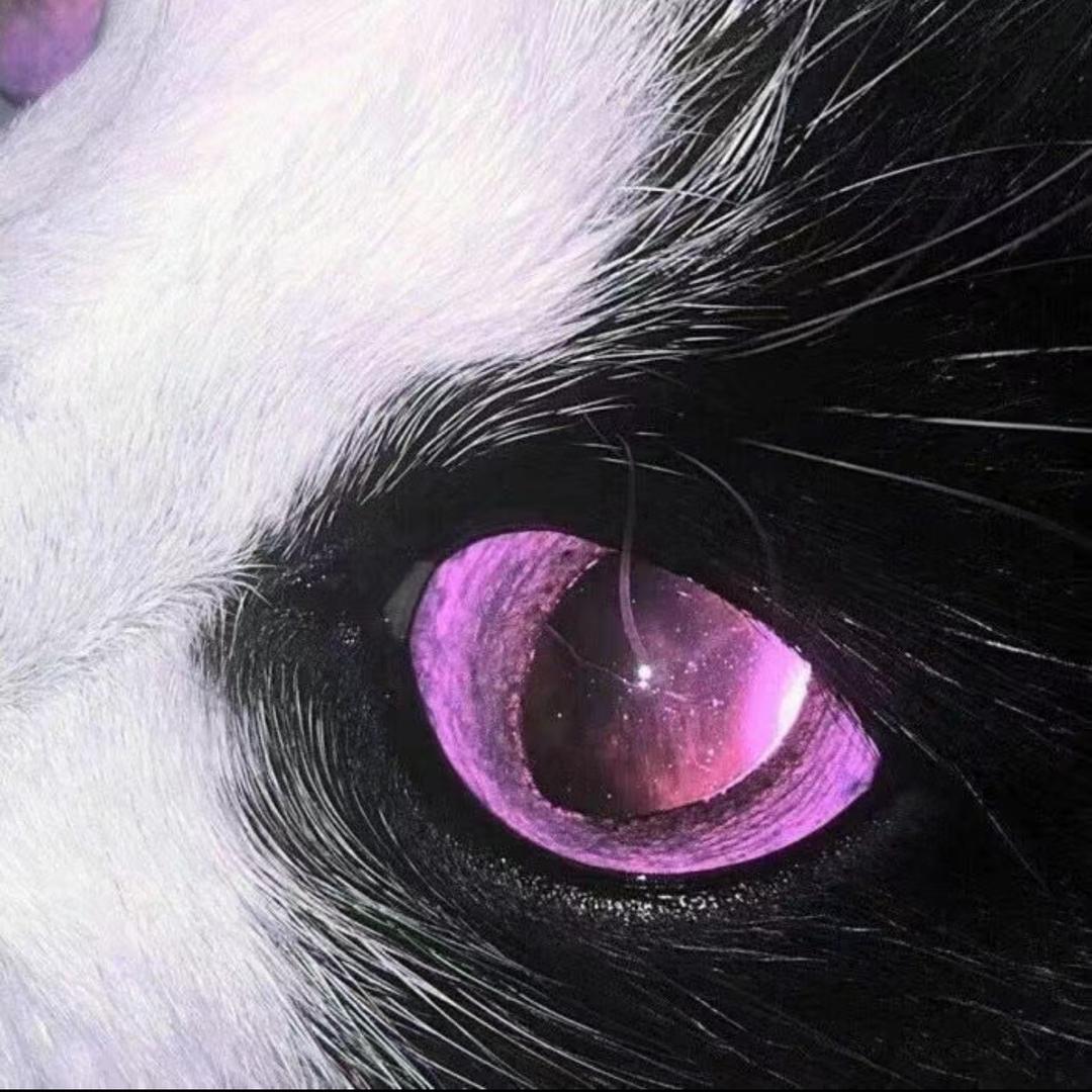 Lucky·