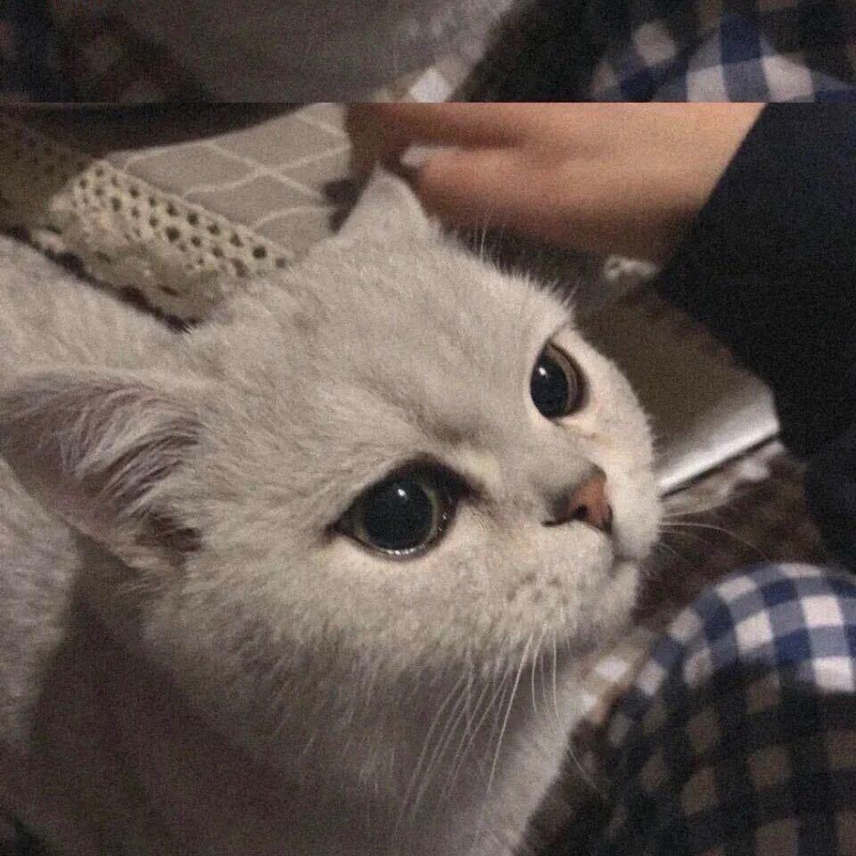 小调