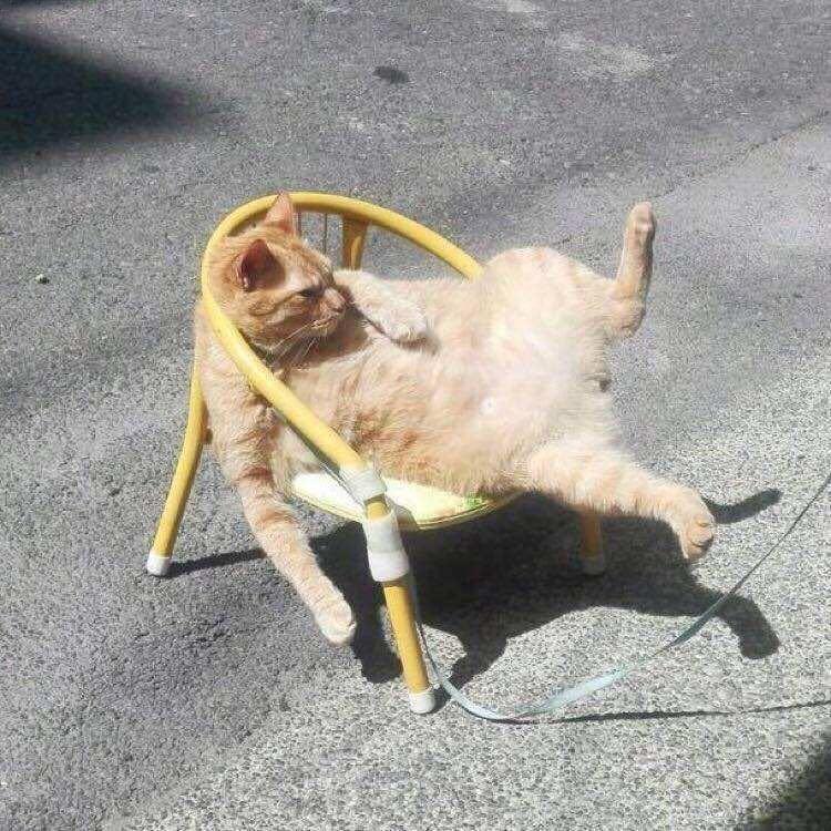 H..