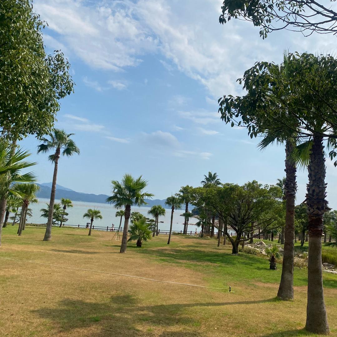 去看别人厌倦的世界