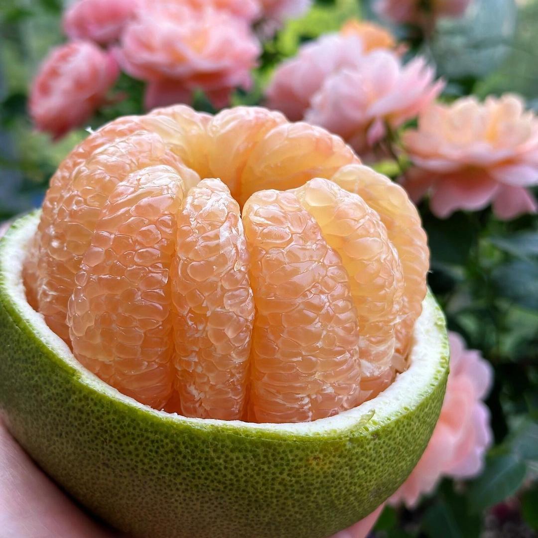 皇荟高端进口水果供应链莎怡茂