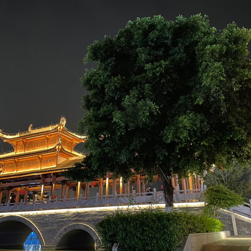 巨星池（首播）