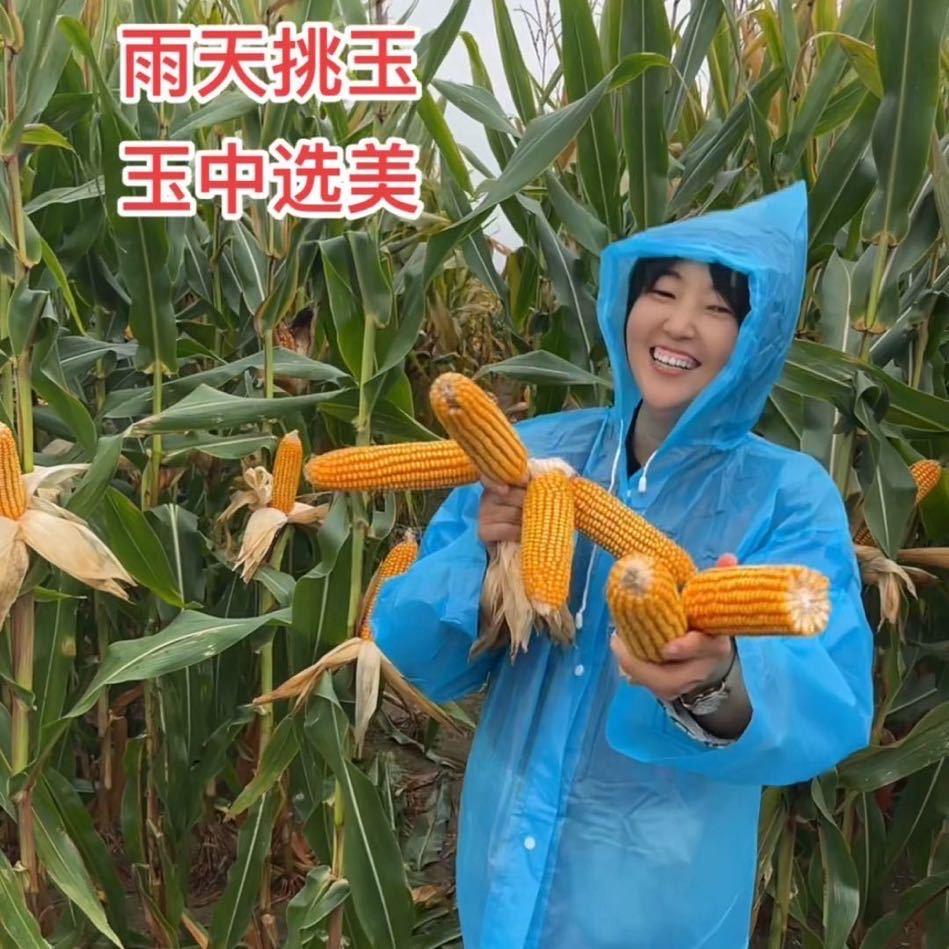 原阳县陡门乡大三李四国农资店