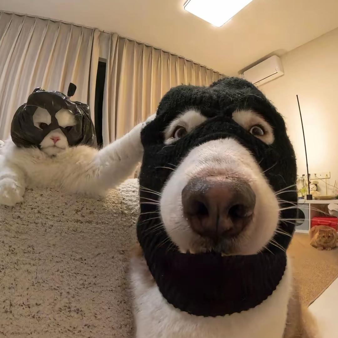 小萧