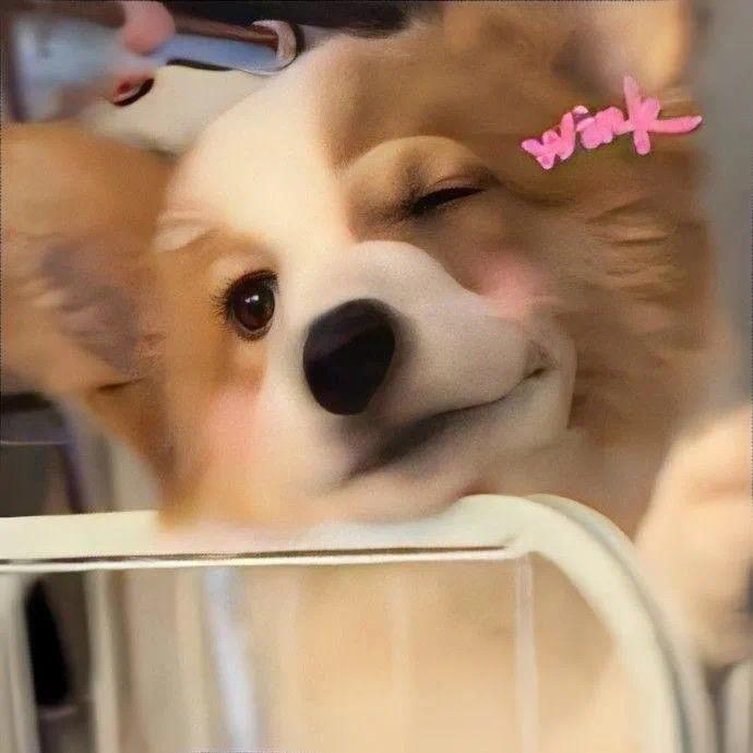 我的头不圆