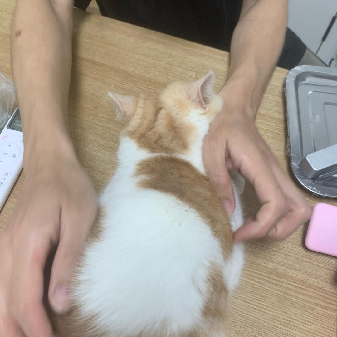 民