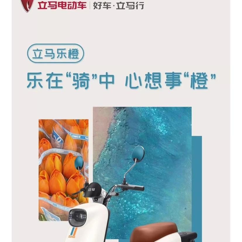 方城县立马电动车