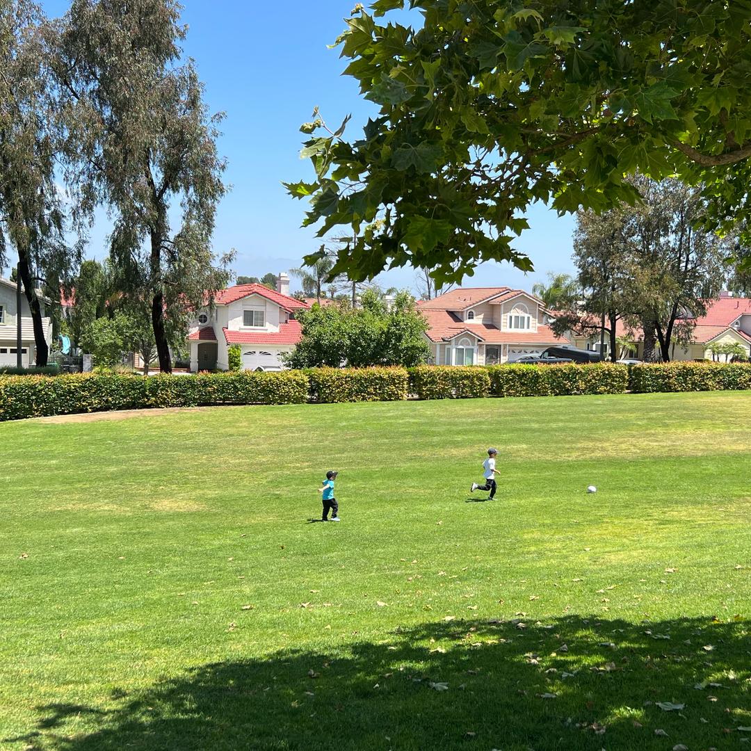 美国日常购物助理mgrcgw