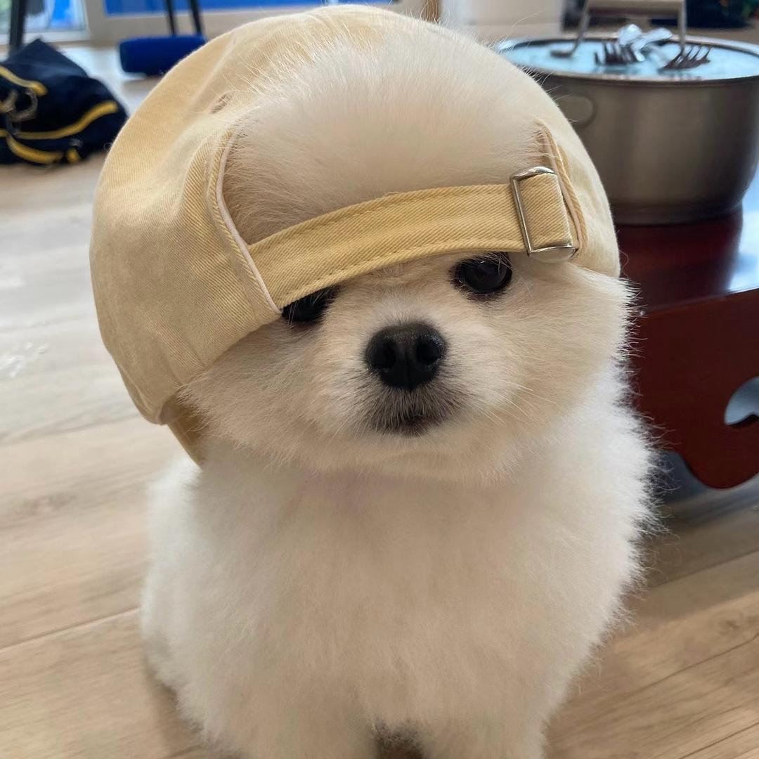 虎皮卷卷