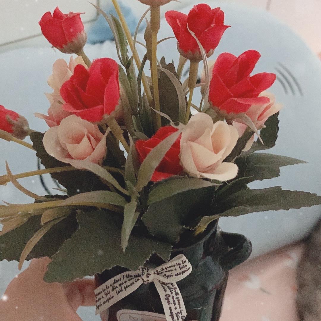 阳光照耀美好