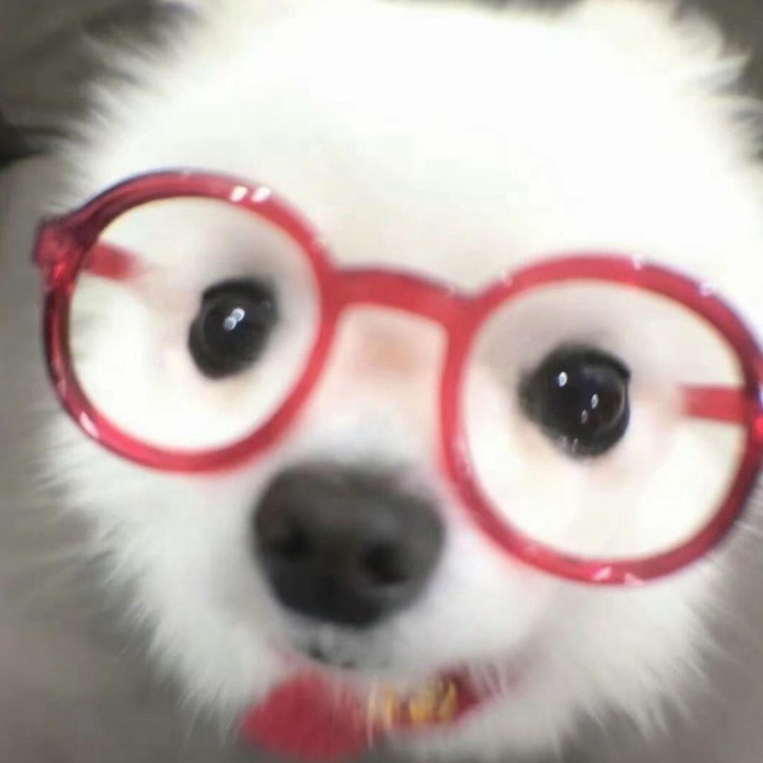 uu呦