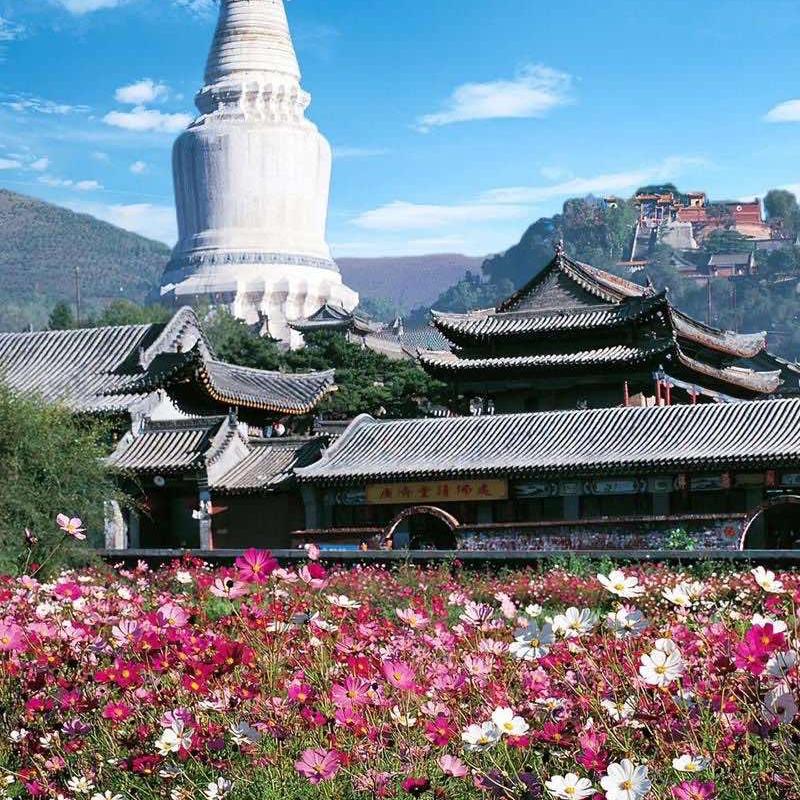 五台山乐童
