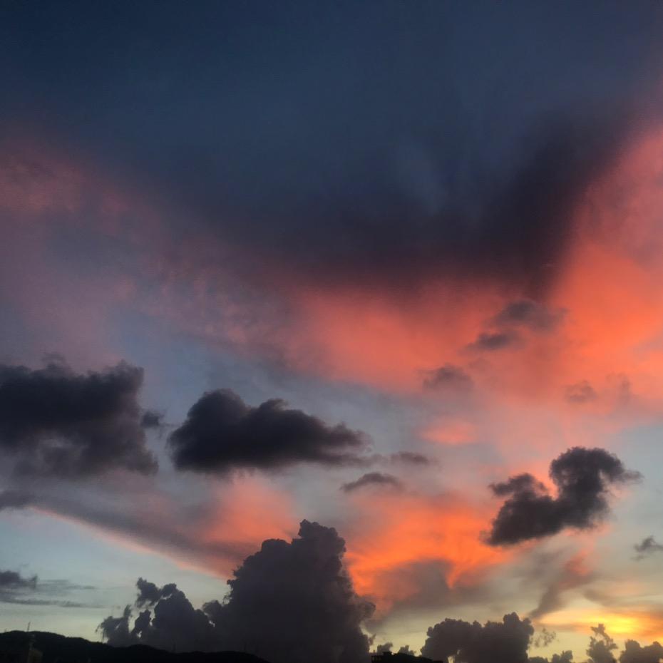 菩提树下( ͡° ͜ʖ ͡°)