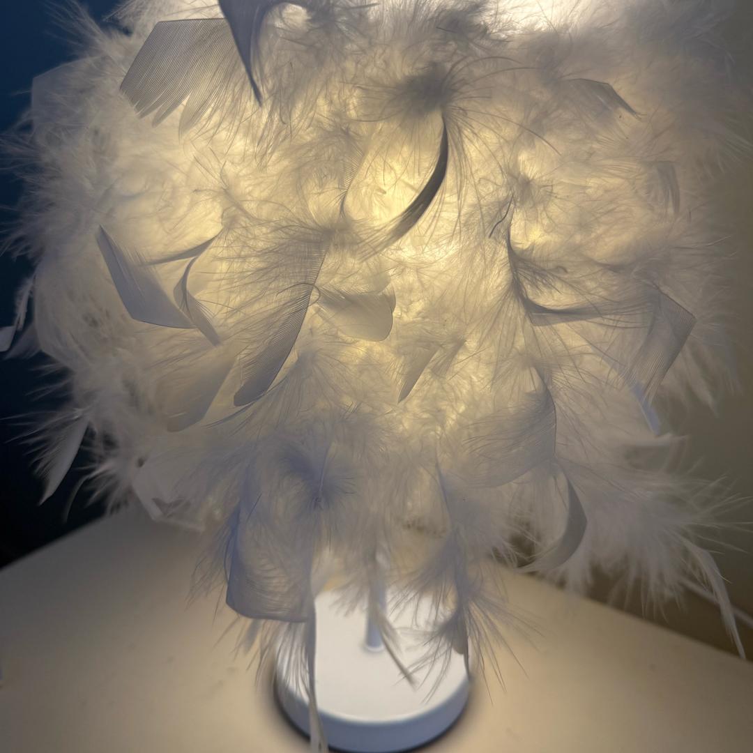 没素质的一大片