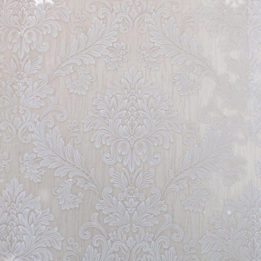 手表档口直播号