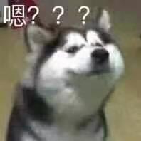 遛绳不拴狗。
