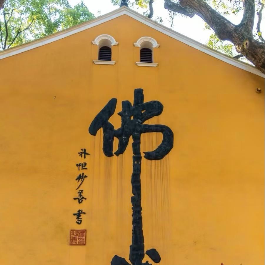 只缘1.1直播号