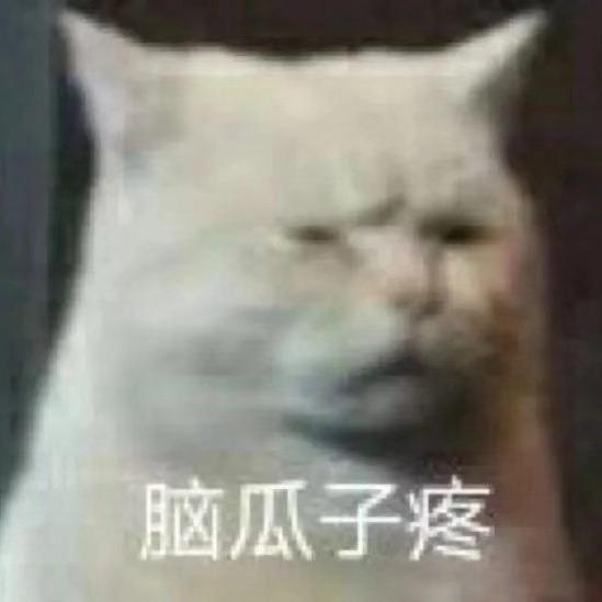 猫宝