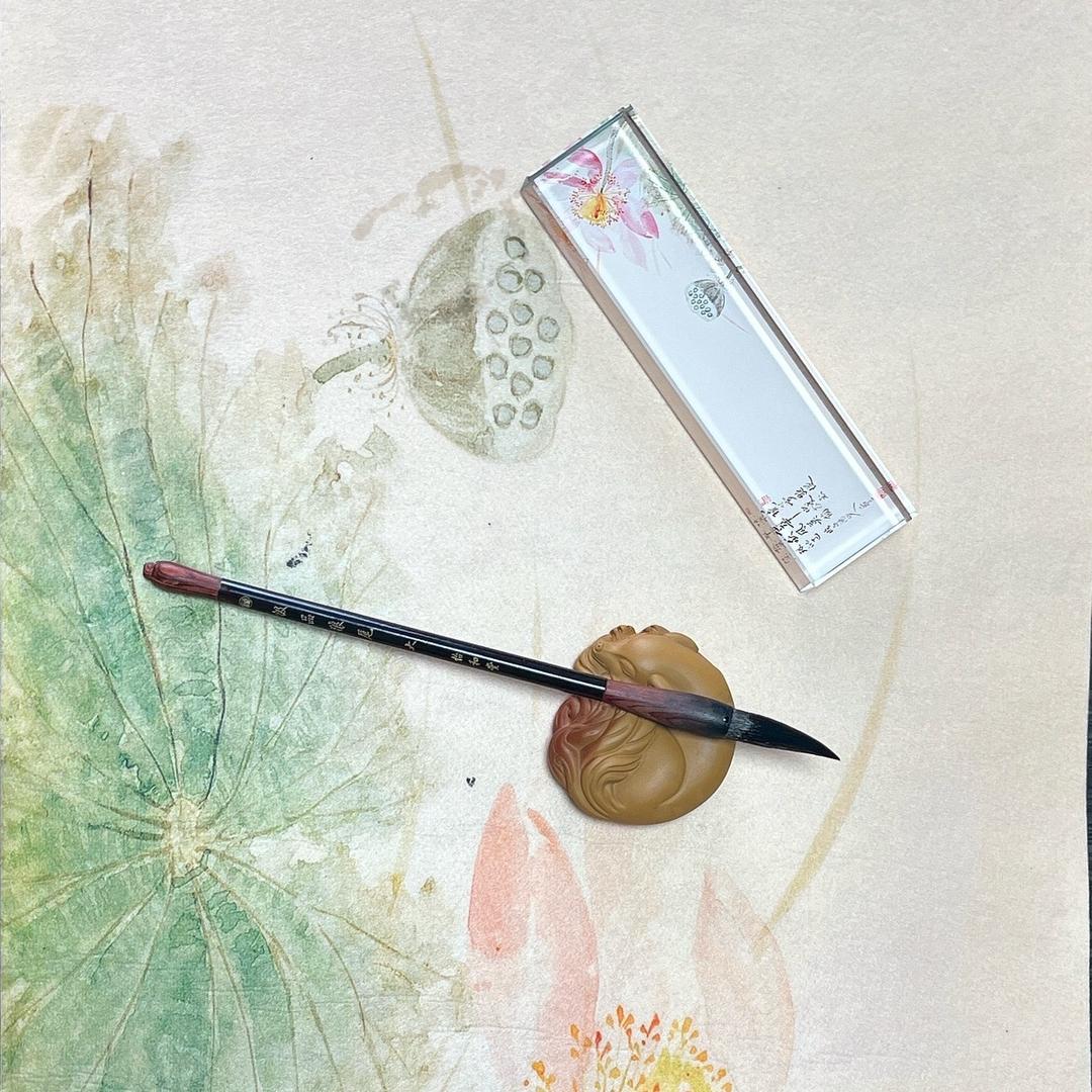 无脑范小白