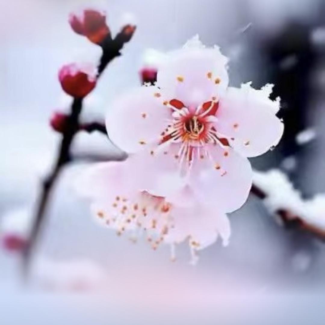 三月