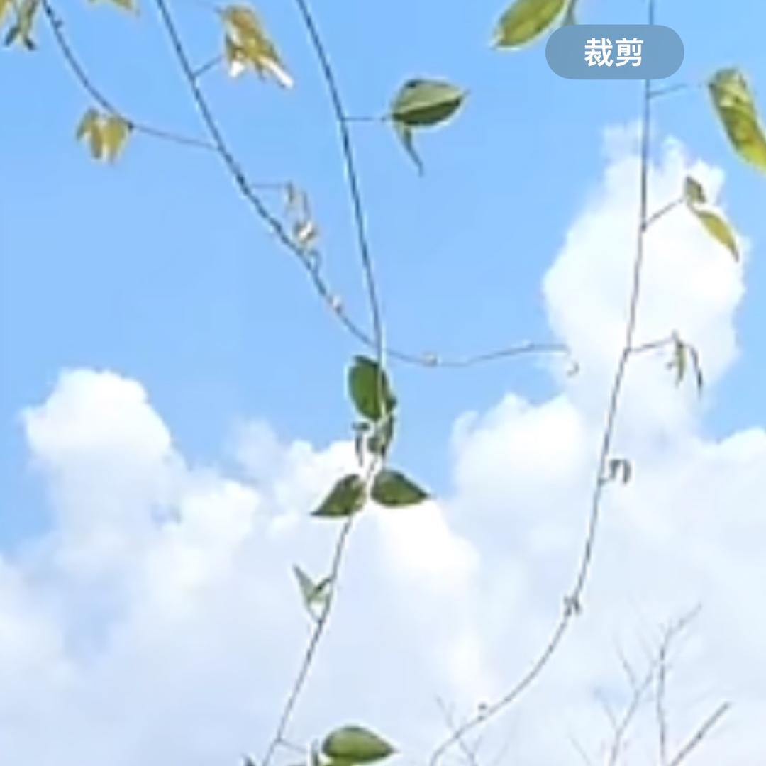 午后奶咖☀️🌈🔥