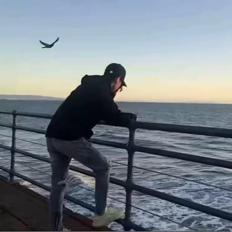 散
