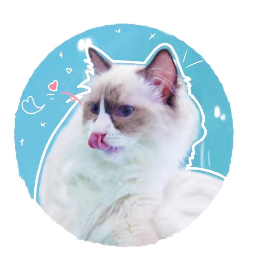 金角银角(品牌猫粮狗粮)