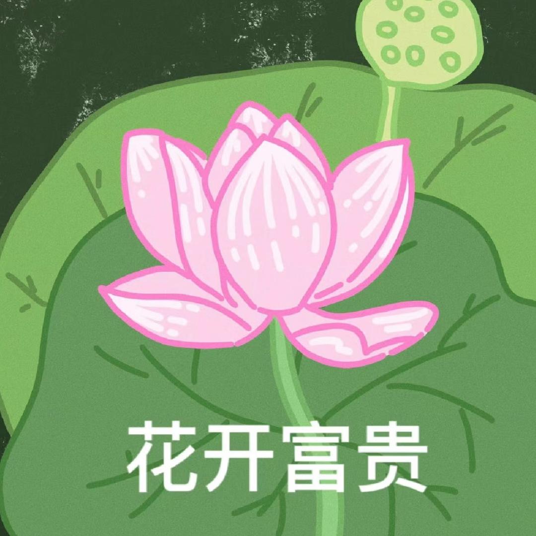 逸禧数码旗舰店