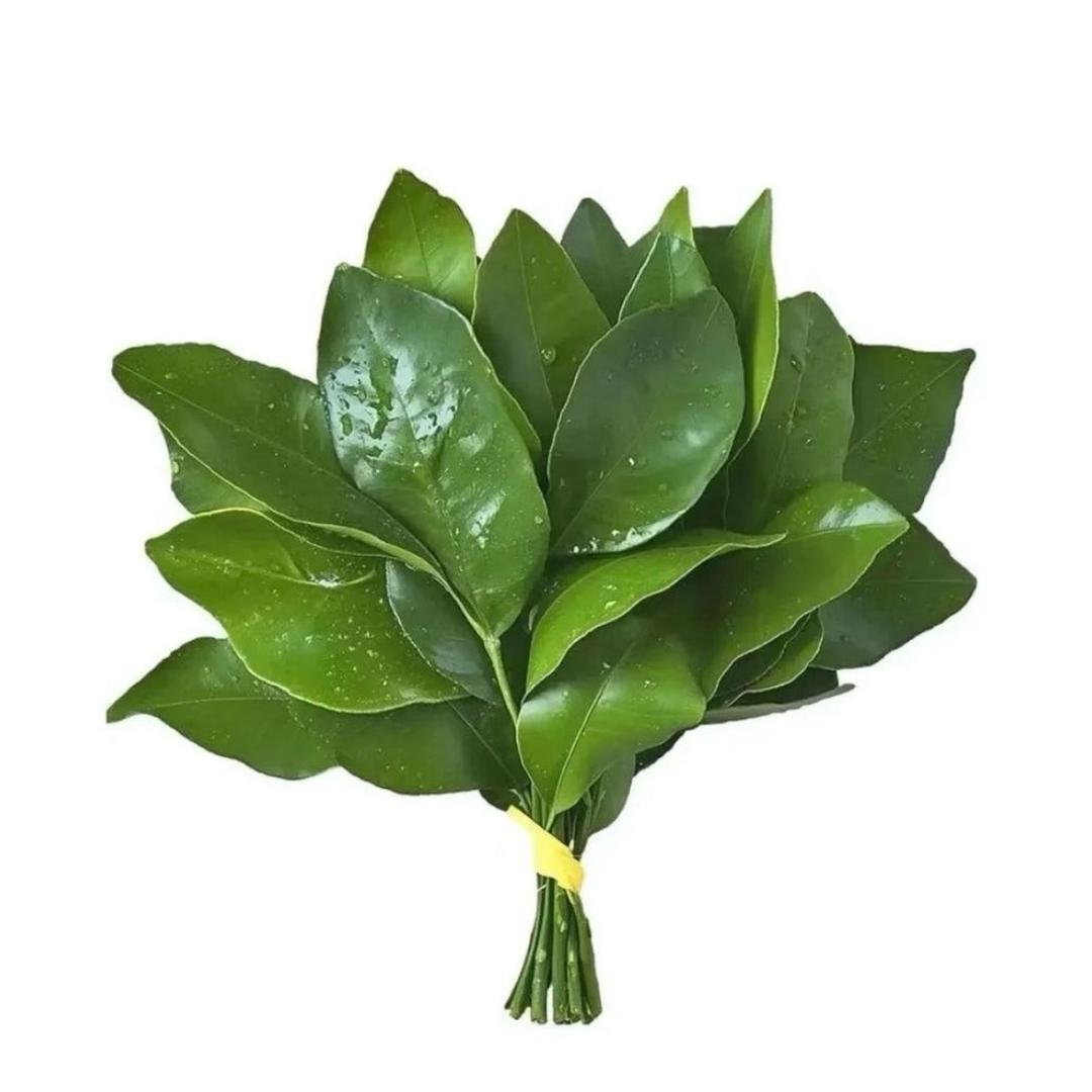 睡醒就心想事成