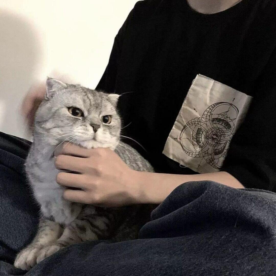 lI