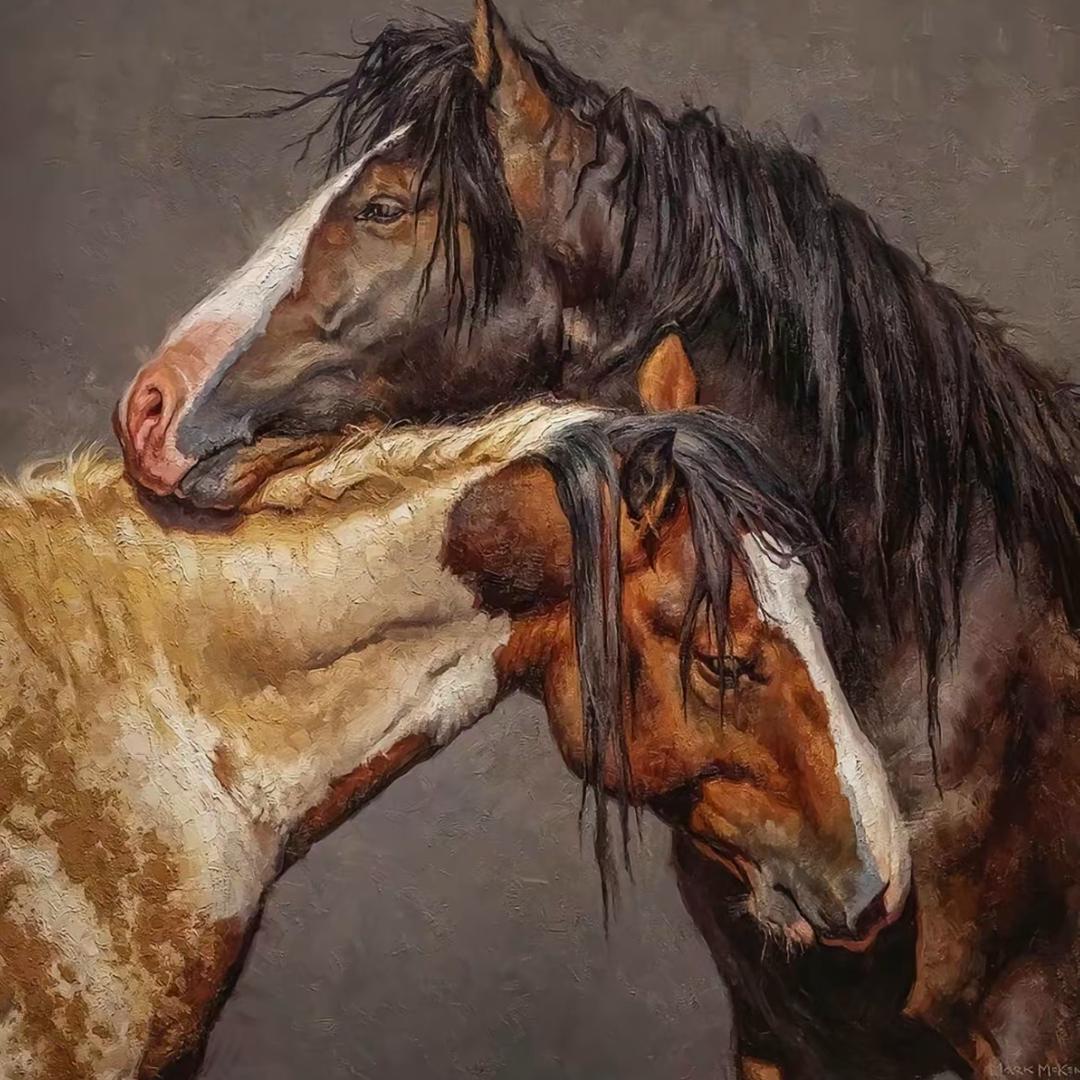 你的故事我的画