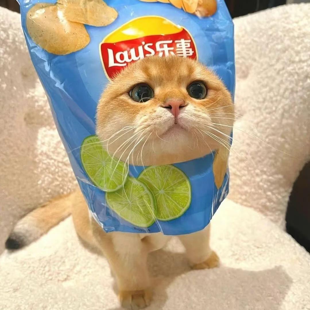 Lay's🫧