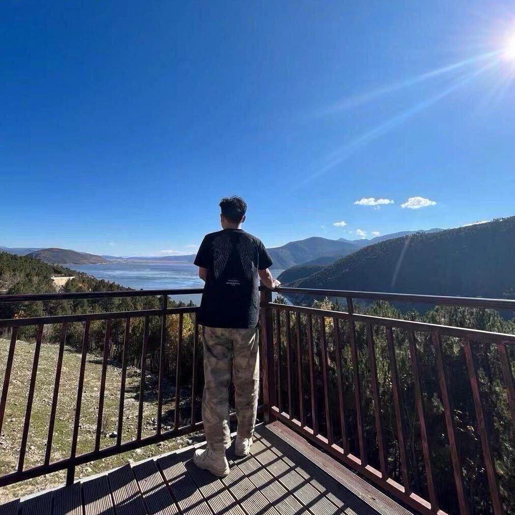 山上的树