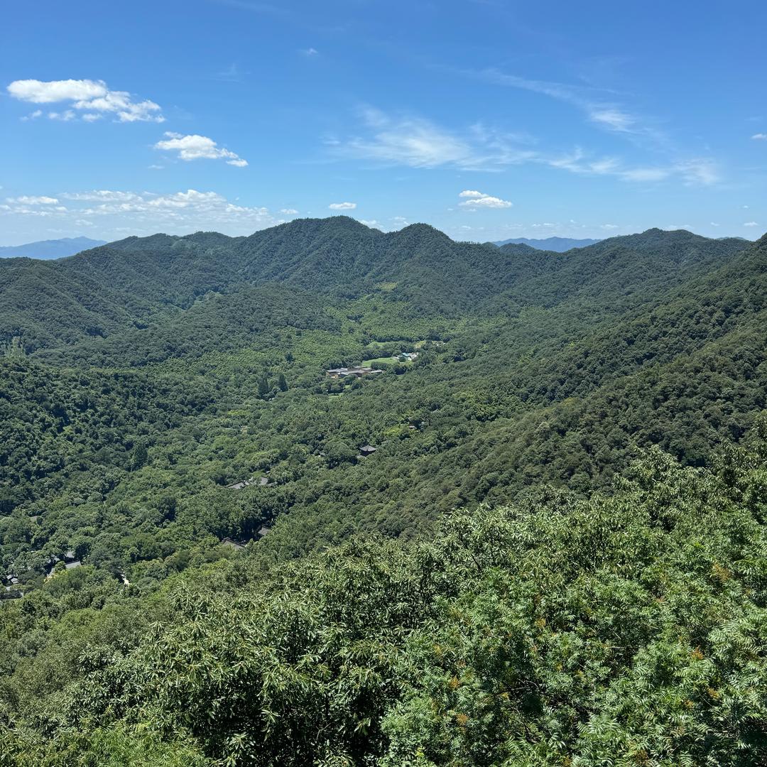 阳小阳